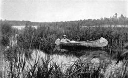 Canoe in Turtle Creek